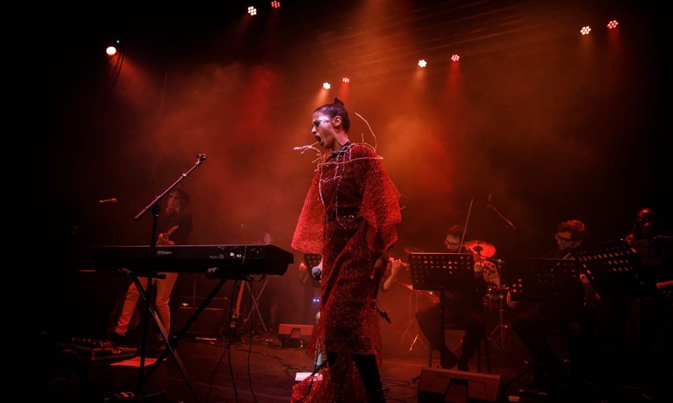 Quartet Volute with Belle Scar